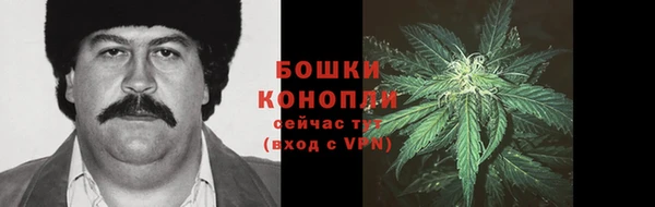 ГАЛЛЮЦИНОГЕННЫЕ ГРИБЫ Иннополис