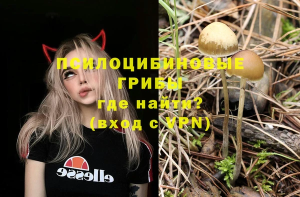 ГАЛЛЮЦИНОГЕННЫЕ ГРИБЫ Иннополис