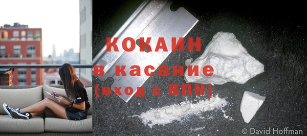 стаф Тихвин