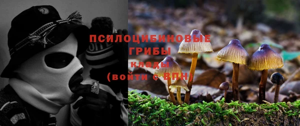 синтетический гашиш Инта